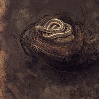 jangler - bed/knife